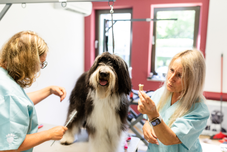 Bildschirm­foto 2023 06 24 um 19.53.44 768x514