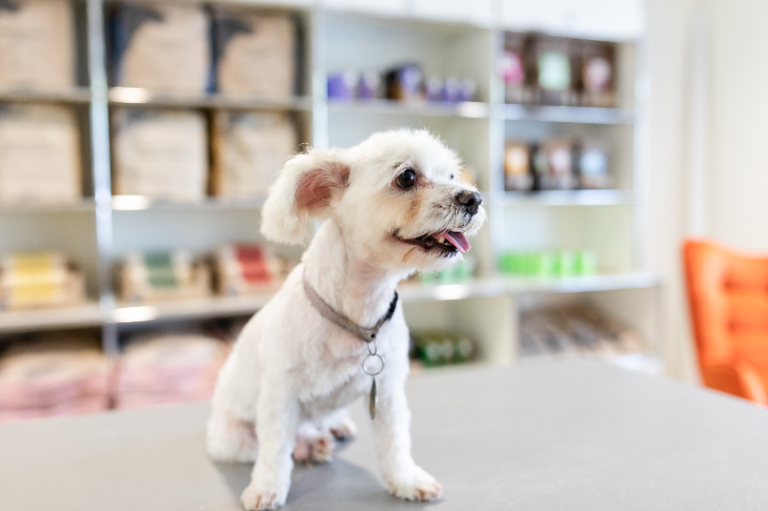 Bildschirm­foto 2023 06 24 um 19.54.02 768x511