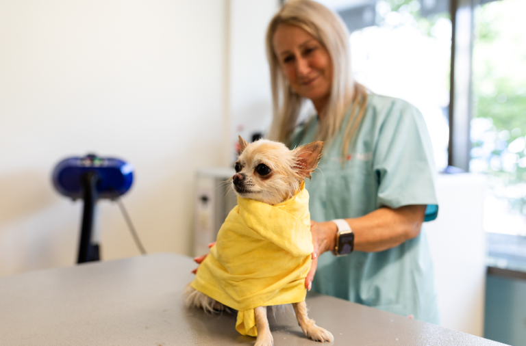 Bildschirm­foto 2023 06 24 um 19.54.19 768x506