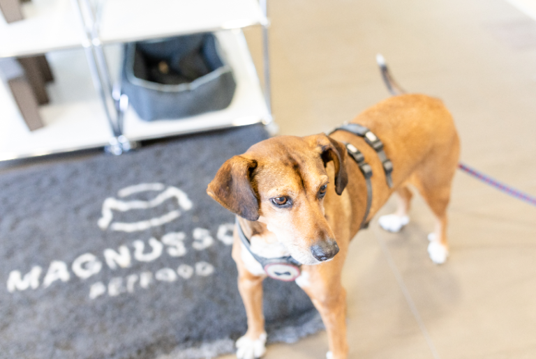 Bildschirm­foto 2023 06 24 um 19.54.33 768x515