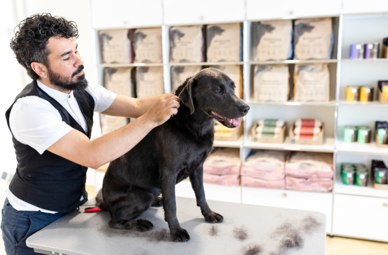 Bildschirm­foto 2023 06 24 um 19.54.56 768x506