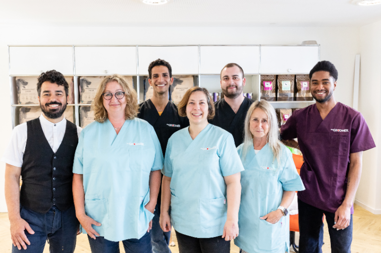 Bildschirm­foto 2023 06 24 um 19.55.26 768x509