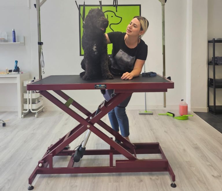 Reutlingen 7 Dogscut Hundesalon Reutlingen Happy Dog 768x661