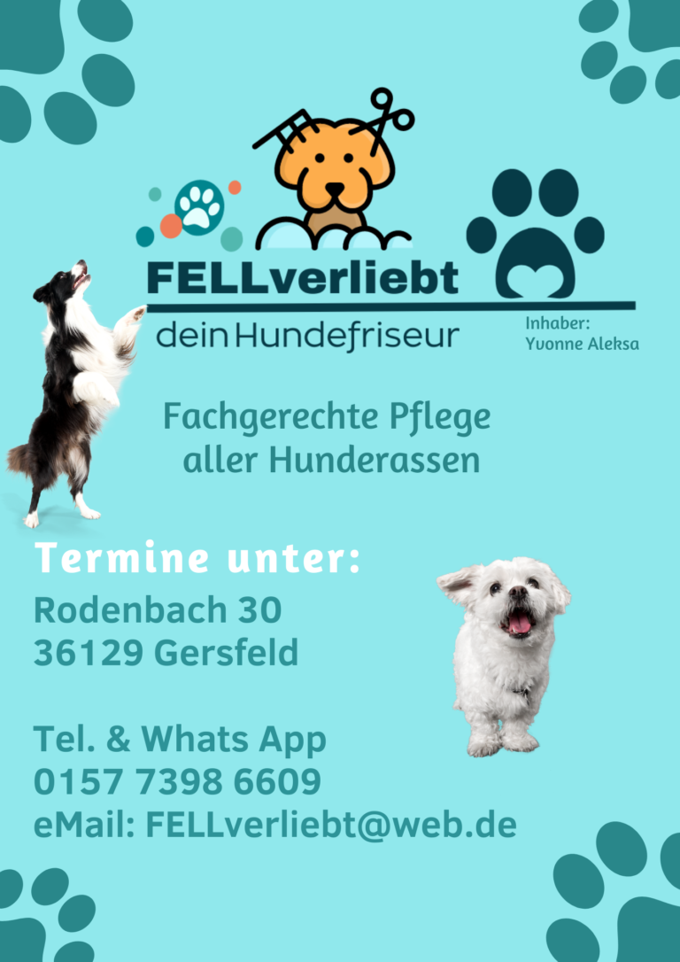 36129 Gersfeld 2 2 Flyer mit Logo 768x1086