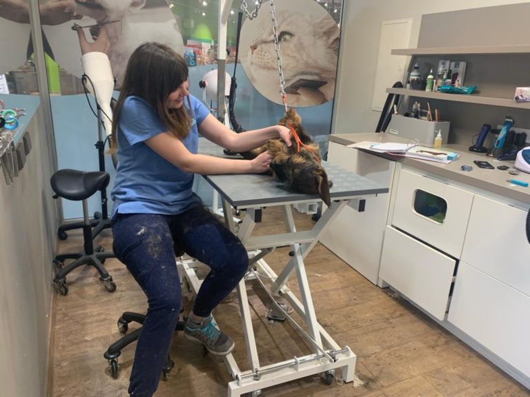 Tiersalon fellfein 7 IMG 20230426 WA0012 768x576