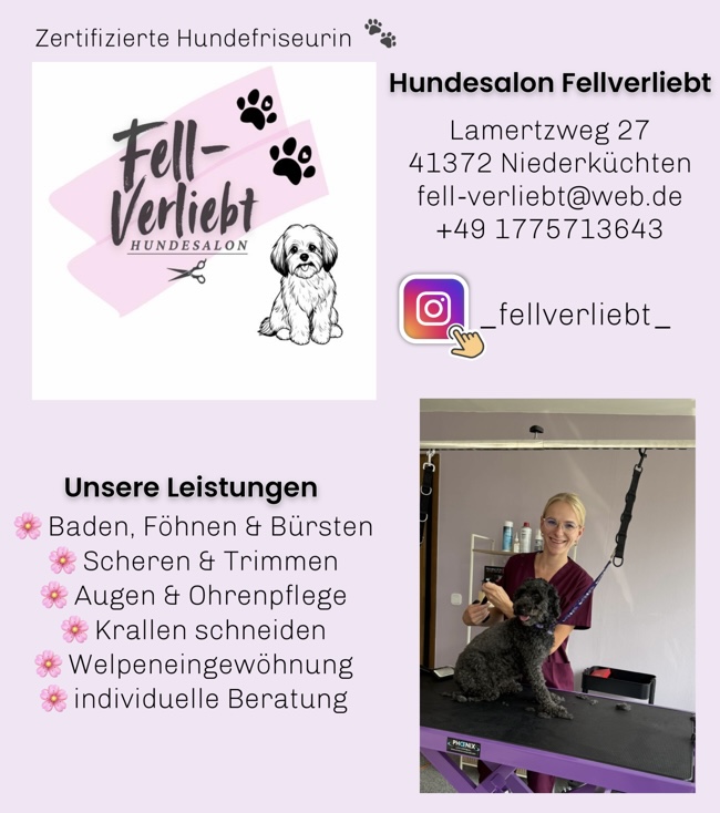 Fellverliebt Hundesalon in Niederkrüchten 4 IMG 7797