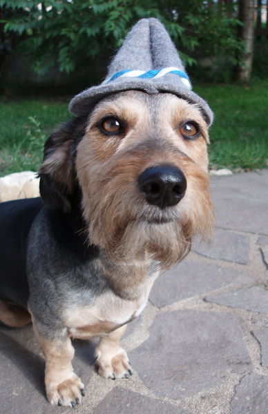 muckel mit hut front 08 1