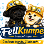 Benutzerprofilbild